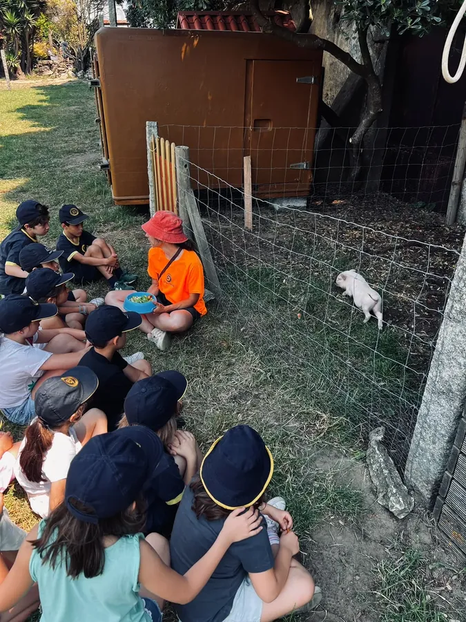 Crianças junto à cerca a observar os animais da quinta