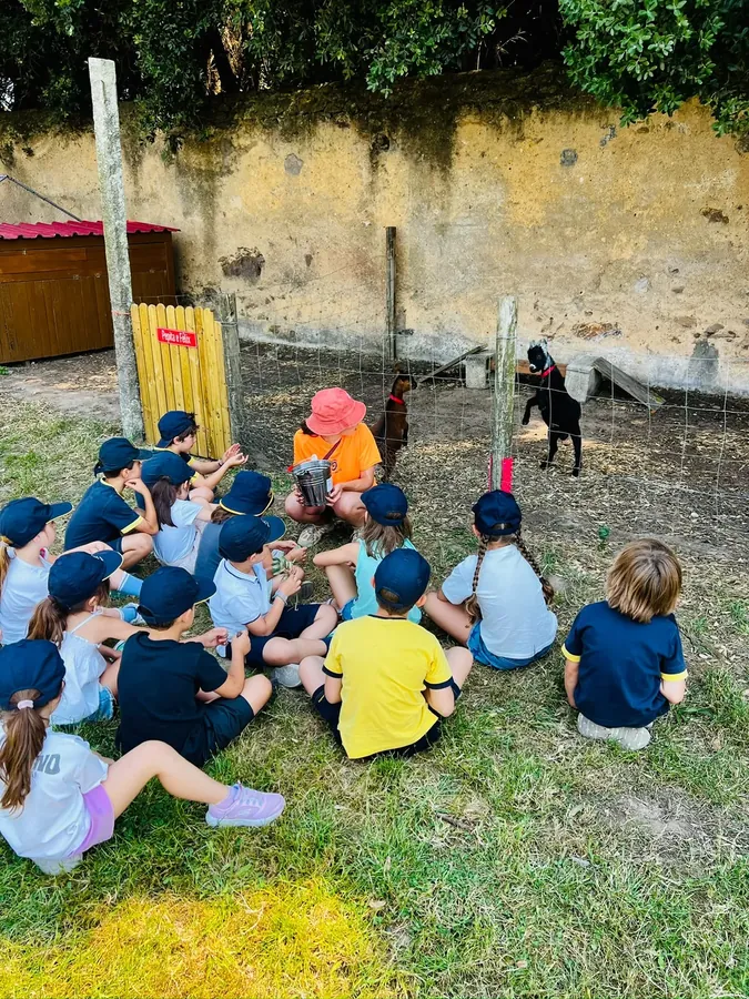 Creches e Jardins de Infância
