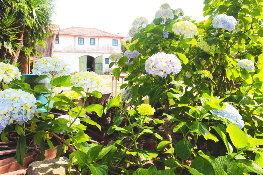 A casa da quinta vista do jardim, com hortênsias